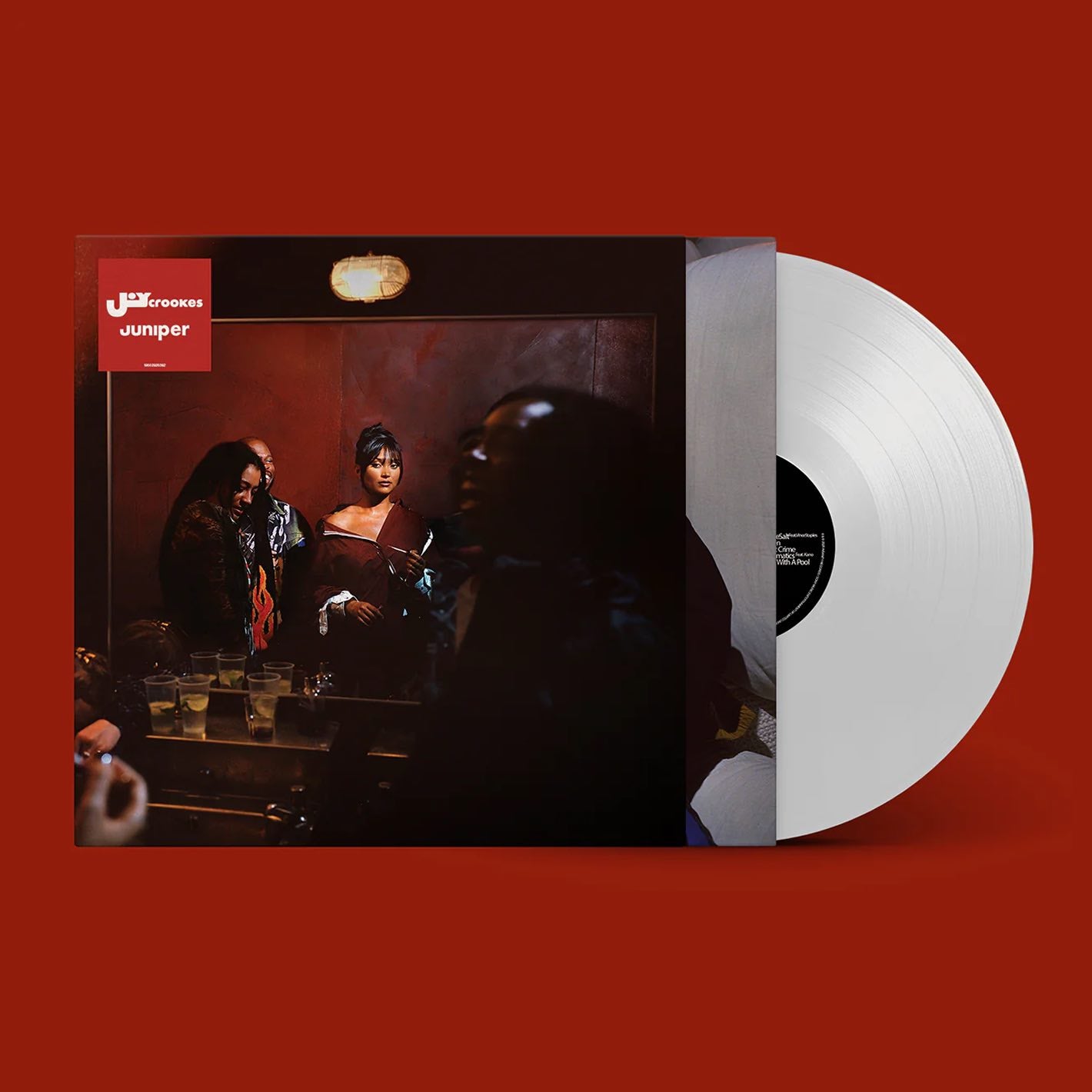 The Joy Crookes Juniper Vinyl is available to purchase from Queer Records.