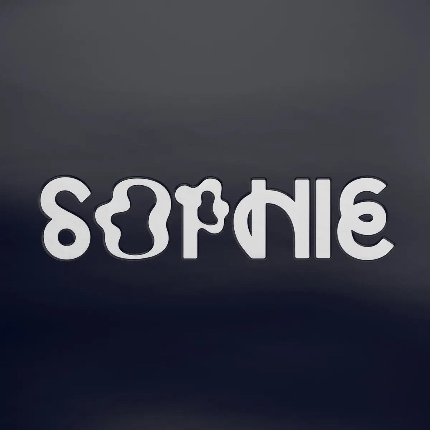 The SOPHIE Product Vinyl is available to purchase from Queer Records.