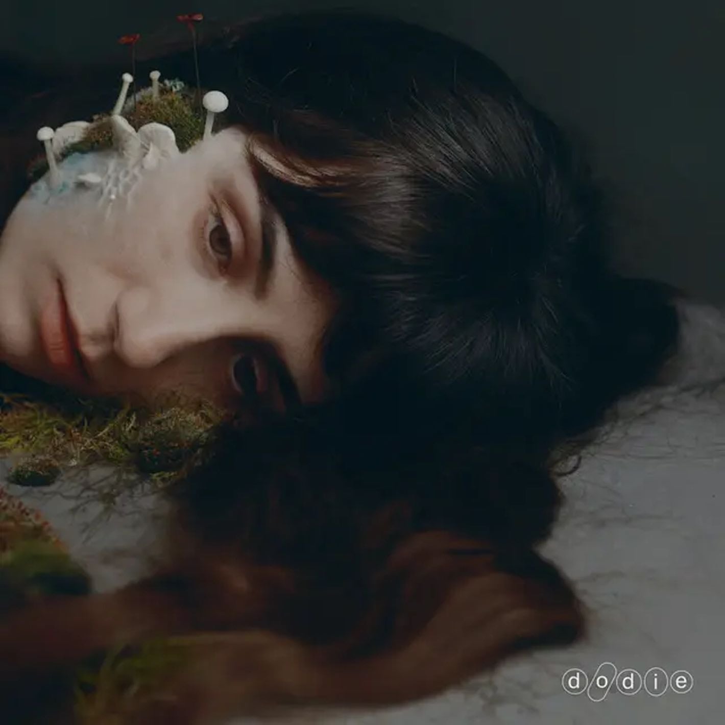 The Dodie Not For Lack of Trying Vinyls Vinyl is available to purchase from Queer Records.