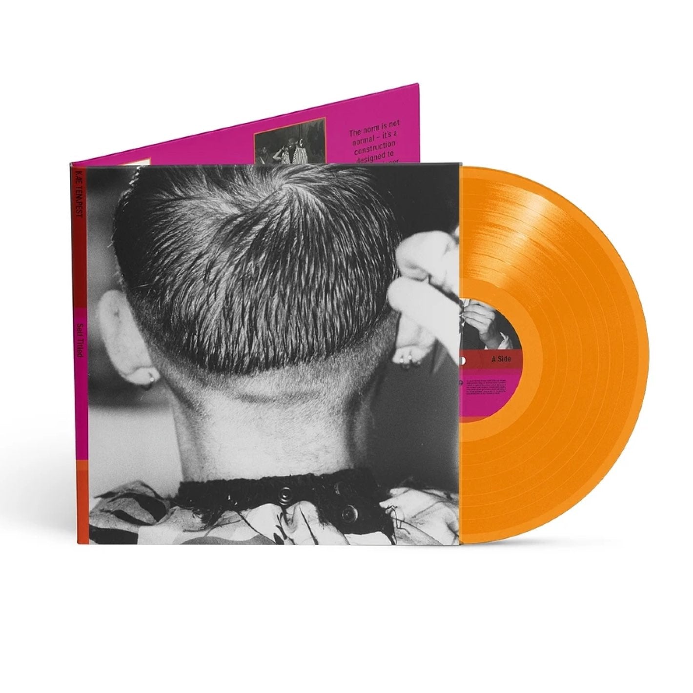 The Kae Tempest	Self Titled Vinyl is available to purchase from Queer Records.