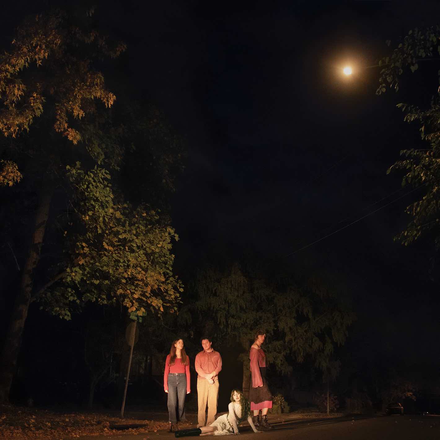 The Ophelias Spring Grove Vinyl is available to purchase from Queer Records.
