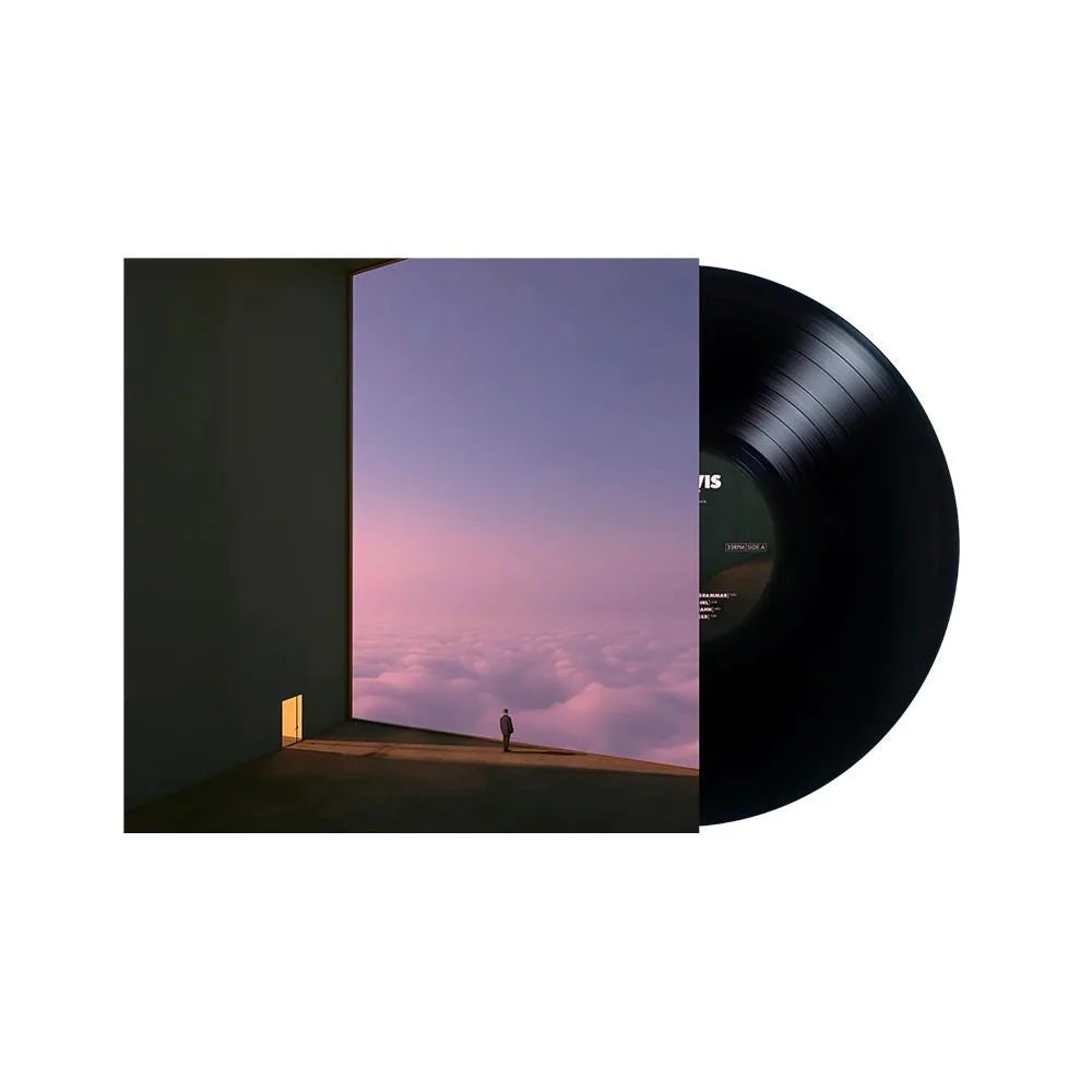 The SG Lewis Anemoia Vinyl is available to purchase from Queer Records.