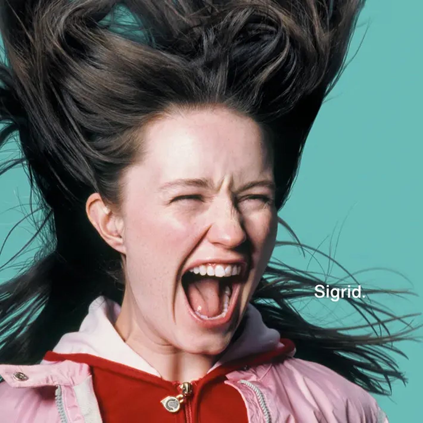 The Sigrid There's Always More That I Could Say Vinyl is available to purchase from Queer Records.