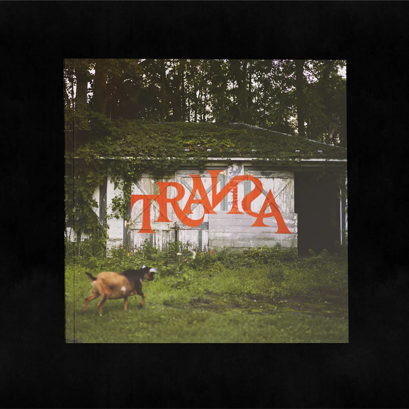 The Transa Deluxe Vinyl is available to purchase from Queer Records.